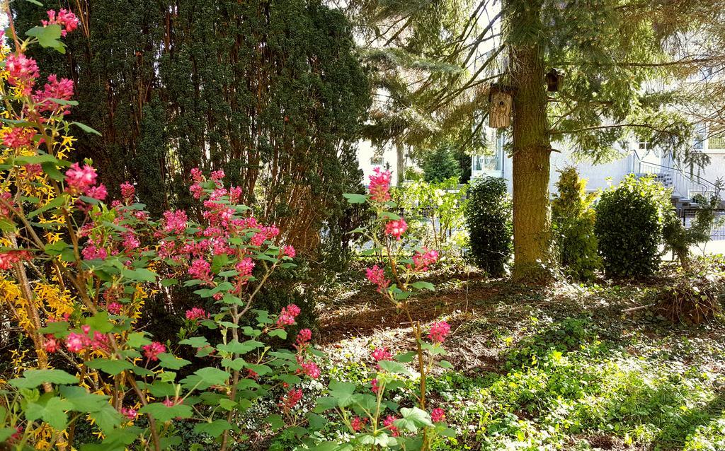 Ferienhaus Sanssouci Stahnsdorf エクステリア 写真