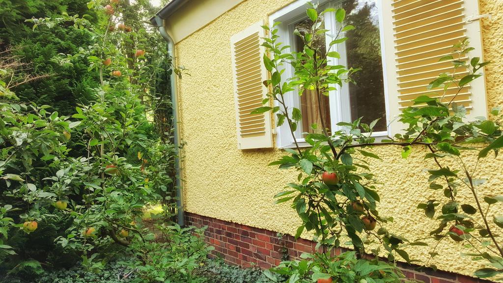Ferienhaus Sanssouci Stahnsdorf エクステリア 写真