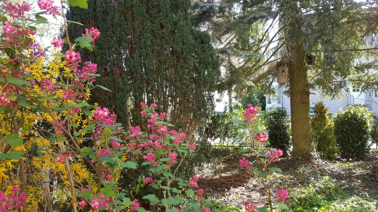 Ferienhaus Sanssouci Stahnsdorf エクステリア 写真